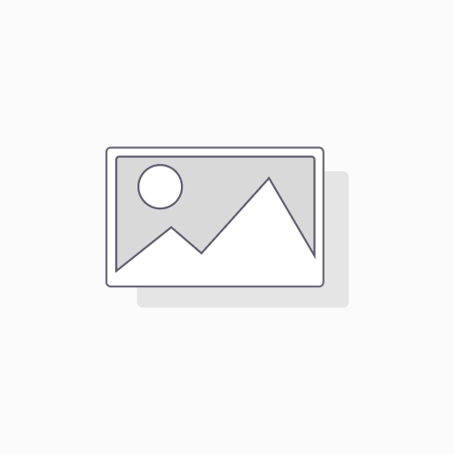 Netflix Monthly Subscription